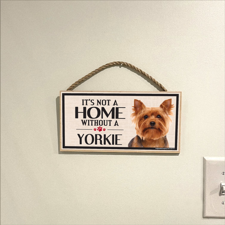 Yorkie supplies 2025